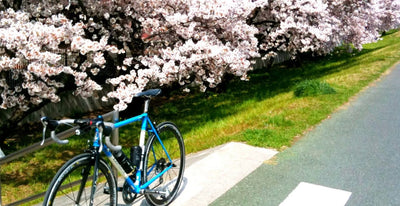 景色満喫！多摩川サイクリングロードとおすすめスポット