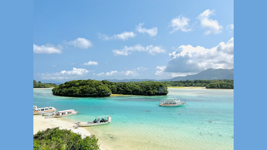 シェアサイクルCOGICOGI、ユーグレナ、面白法人カヤックと業務連携し、沖縄県石垣島でシェアサイクルを開始。