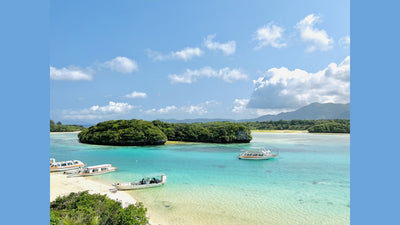 シェアサイクルCOGICOGI、ユーグレナ、面白法人カヤックと業務連携し、沖縄県石垣島でシェアサイクルを開始。