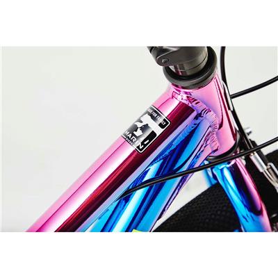 マリン DONKY JR24 Limited Color 2026 キッズ 子供用 自転車 24インチ 6段変速 [26 DONKY JR24 LTD]