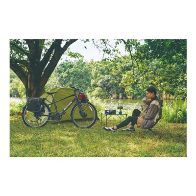 丸石サイクル Re:BIKE ステルナ 2026 Eバイク 8.5Ah 27インチ 電動アシスト自転車 [ASST277TYR] 2601_4w