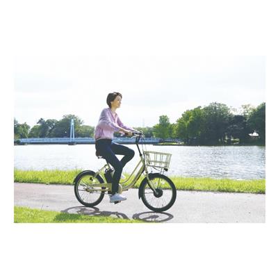 丸石サイクル ビューピッコリーノ 2026 電動自転車 8.5Ah 20インチ 電動アシスト自転車 [ASWL20KDR] 2601_4w