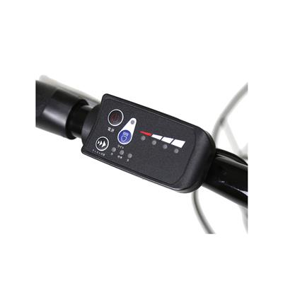 ローバー ROVER CHESTER FDB206E 2026 電動自転車 7.8Ah 20インチ 電動アシスト自転車 [18238-xx99] NC202620