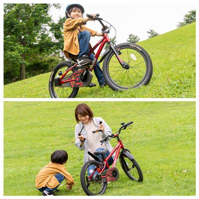 Dバイク D-Bike Master+ 16 幼児自転車 16インチ 3歳～6歳 [D-Bike Master+ 16]