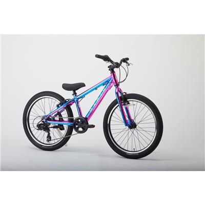 マリン DONKY JR22 Limited Color 2025 子供自転車 22インチ 6歳～11歳