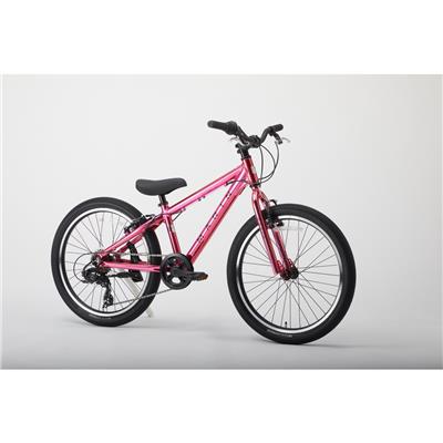 期間限定セール】マリン DONKY JR22 Limited Color 2025 子供自転車 22