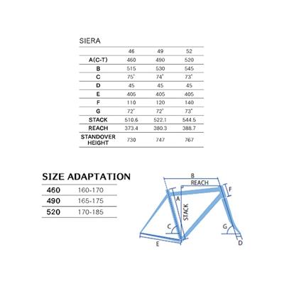 ロードバイク – FRAME shop