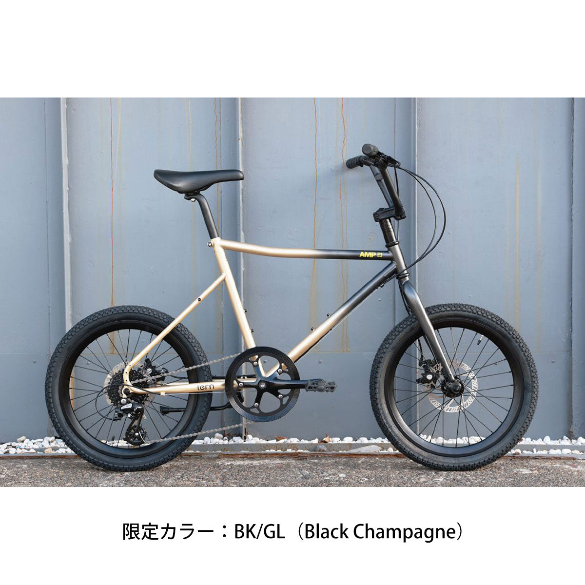 【期間限定セール】店頭受取限定 ターン AMP F1 小径車 20インチ 8段変速 [SALE2406 AMP F1] 2506_tern_sale